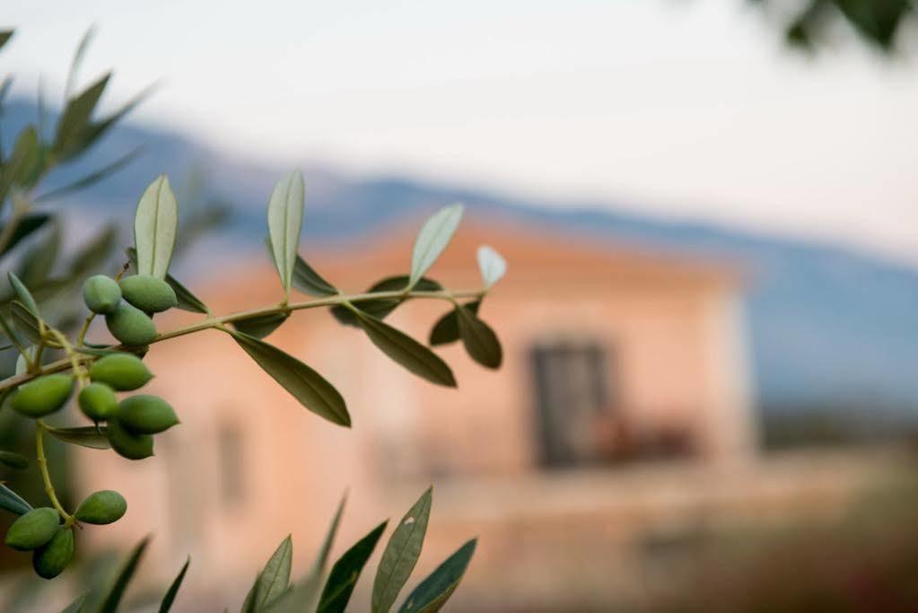Korallis Villas Livathos (Kefalonia) Exterior foto